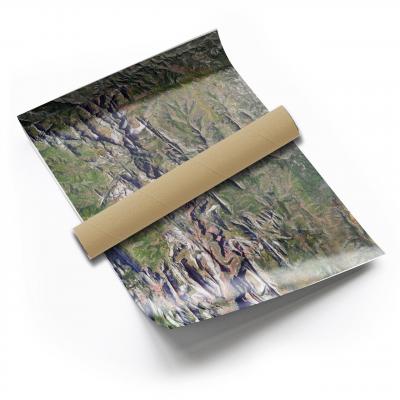 Zions National Park, 2020, Satellite Map Rolled Print