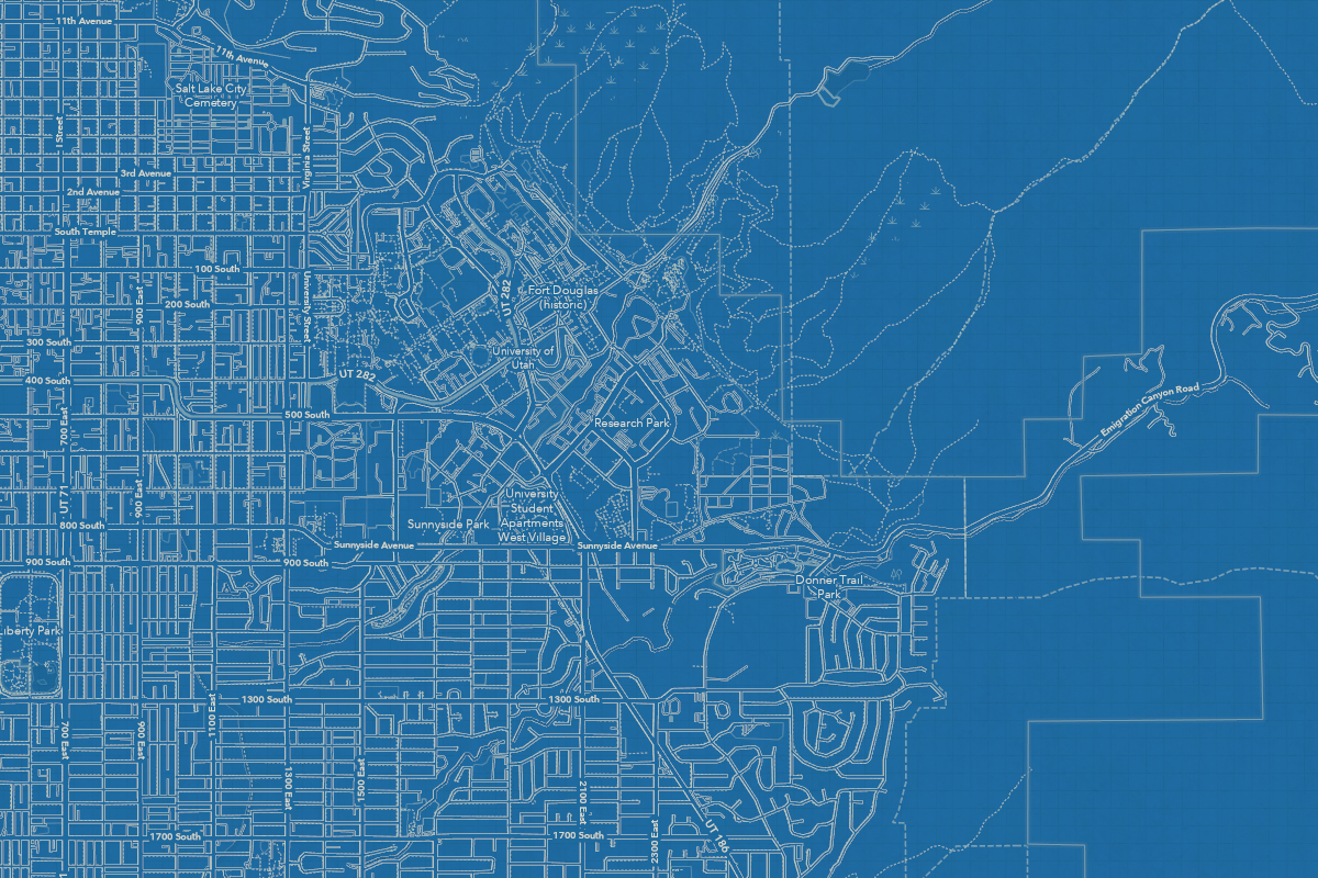 Custom D Topography Raised Relief Map Satellite Style